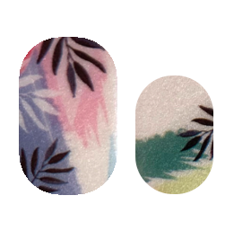 Queen Palm
