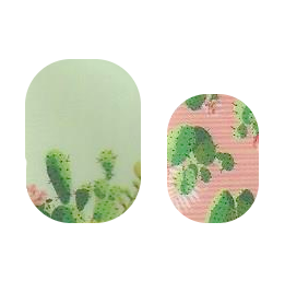 Rosy Succulents