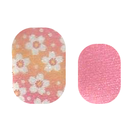 Sakuras in Pink